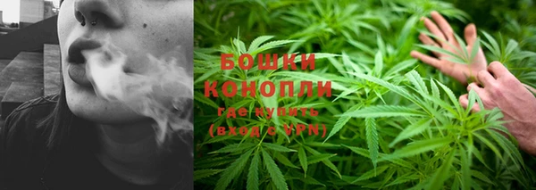 гидропоника Абаза