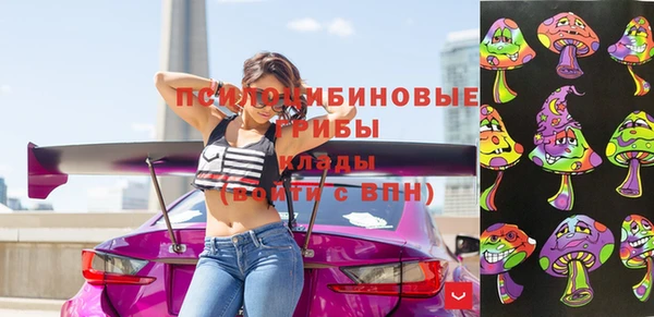 гидропоника Абаза