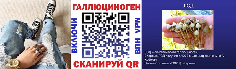 Галлюциногенные грибы Magic Shrooms  Дыгулыбгей 